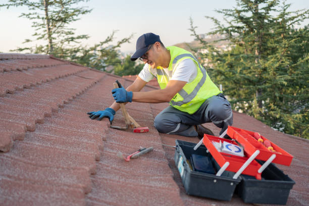 Best Roof Repair Services  in Hawaiian Beaches, HI