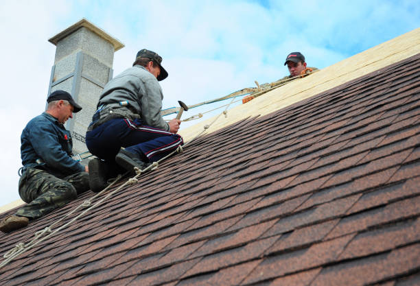 Best Roof Repair Services  in Hawaiian Beaches, HI